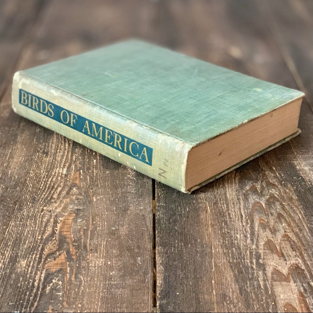 Vintage Birds of America 1936